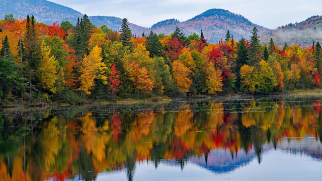 2024-current-fall-foliage-kml.png 