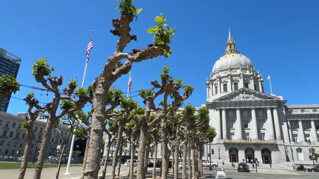 Flags outside SF City Hall 